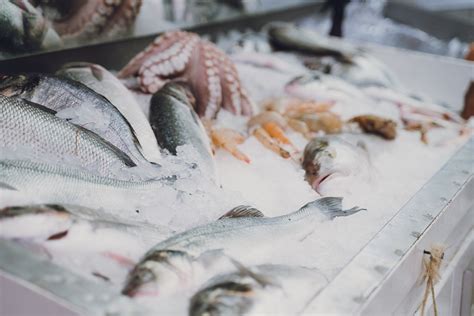 Semana Do Pescado Quer Refor Ar Consumo Da Carne Branca Cbn Campo