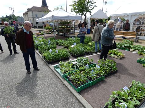 Montpont En Bresse La F Te Des Fleurs Et Des Jardins Du Fleurissement