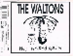 The Naked Rain Mini CD EP 1994 Von The Waltons