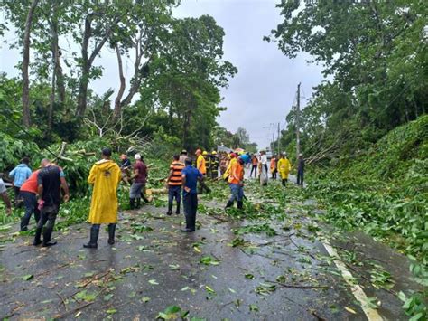 Rboles Derrumbados Por Fiona Bloquean Paso En Autopista Nagua Saman