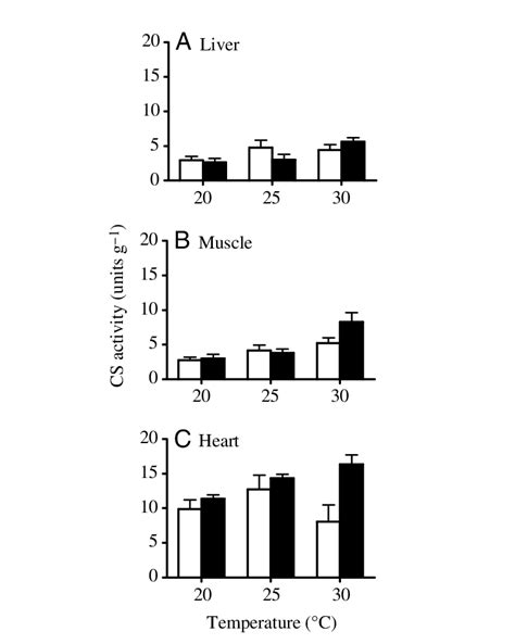 Activities Mean S E M Of Citrate Synthase CS Unitsg 1 Wet