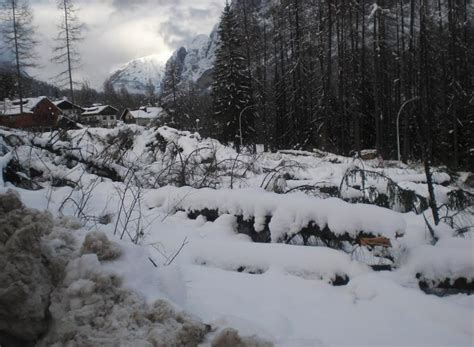 Olimpiadi Il Bosco Distrutto Per La Pista Da Bob A Cortina In Pochi