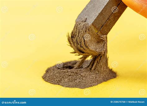 Iron Filings in a Magnetic Field Stock Photo - Image of background, needles: 258670768