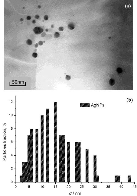 A TEM Microphoto Graph Of Electrochemically Syn Thesized Silver