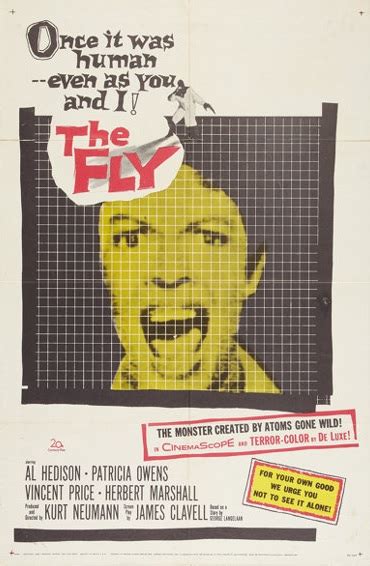 The Fly Jiggy S Horror Corner