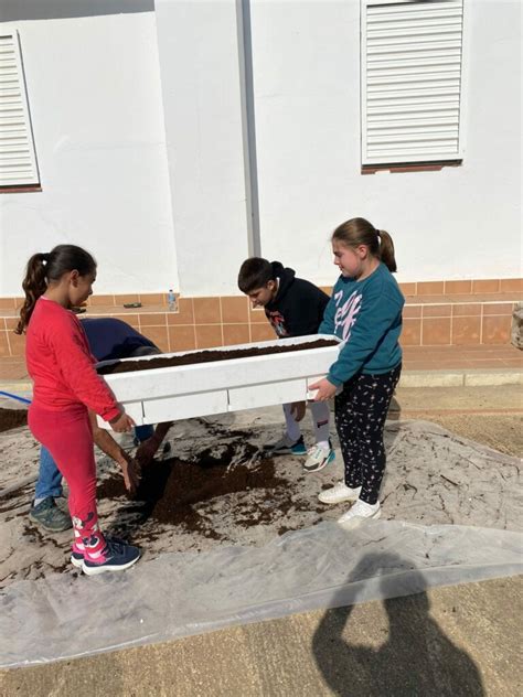 Avances En Nuestro Ecohuerto Ceip DoÑana El RocÍo