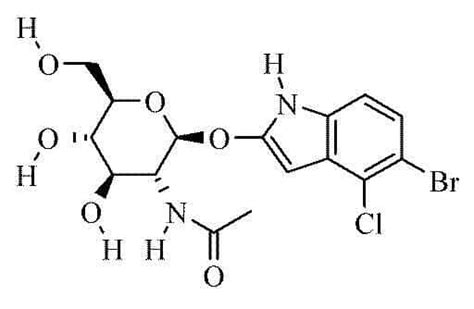 Acros Organics AC340481000 5 Bromo 4 chloro 3 indoxyl N acetyl β D