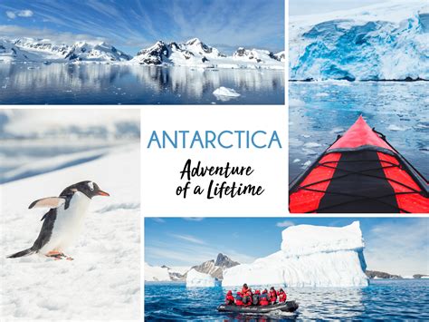 Antarctica – Adventure of a Lifetime - Big Rock Travel | Boutique ...