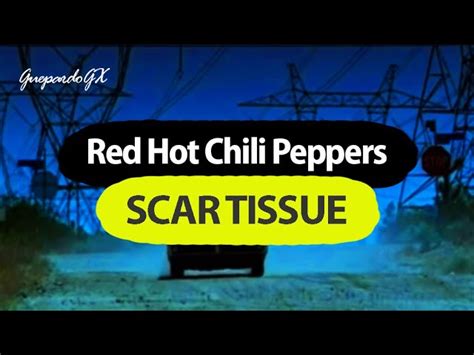 Red Hot Chili Peppers Scar Tissue Lyrics