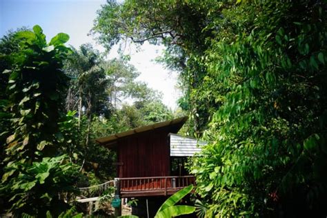 Wooden Hut Koh Kood Koh Kut Alle Infos Zum Hotel