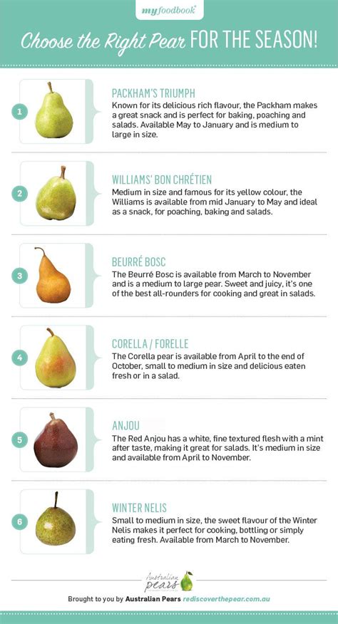 In Season Cooking With Pears Myfoodbook Food Stories Pear