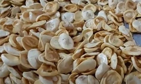 oleh oleh khas banjarnegara  makanan jadul  legendaris
