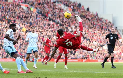 Liverpool cruise to 3-0 win over Nottingham Forest | Reuters