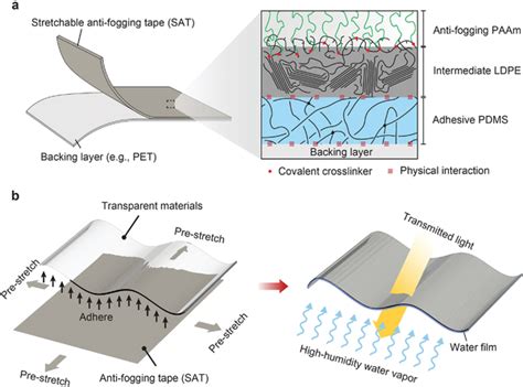 Schematic Illustration Of Stretchable Antifogging Tape SAT