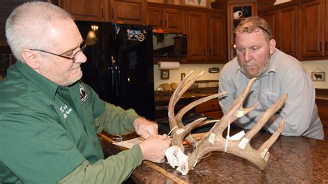 Scoring deer antlers: Here's how they're measured