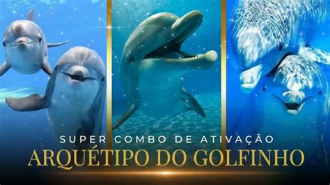 Combo De Ativa O Arqu Tipo Do Golfinho