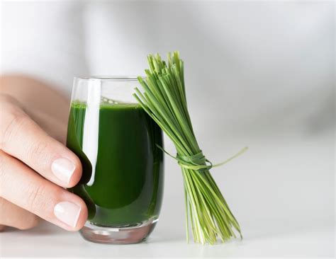 Amazing Wheatgrass Benefits