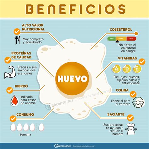 El Huevo Es Uno De Los Alimentos M S Completos Y Equilibrados Por Su