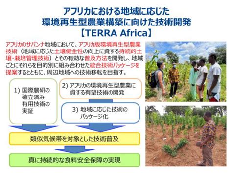 アフリカに適した環境再生型農業を構築「テラ・アフリカプロジェクト」始動 国際農研｜jacom 農業協同組合新聞