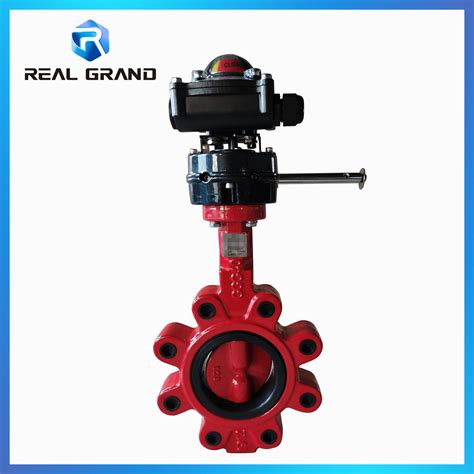 Stainless Steel Ss 316 Double Eccentric Pn25 250mm High Performance Lug Type Butterfly Valve