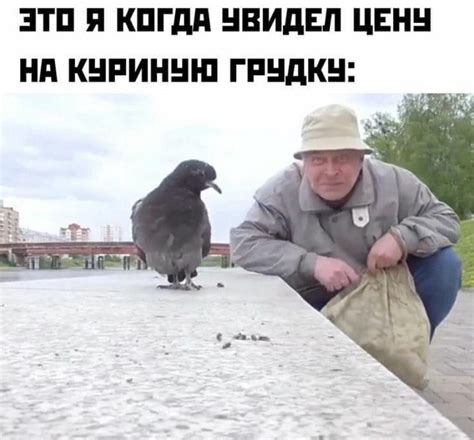 Создать мем "голубь валера, голуби голуби, ручной голубь" - Картинки ...