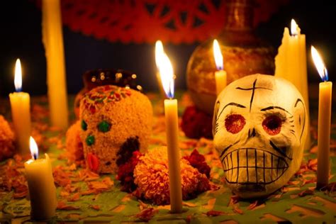 Tipos De Flores Y Su Significado En Las Ofrendas Que Se Harán Para El Día De Muertos Gastrolab