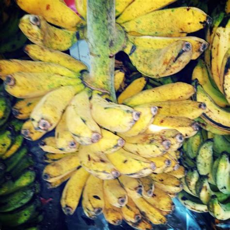 Harga Pisang Di Pasaran Anikateturner