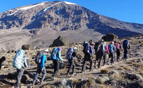 7 Days Rongai Route Kilimanjaro Climbing Sia Yangu Africa Safari