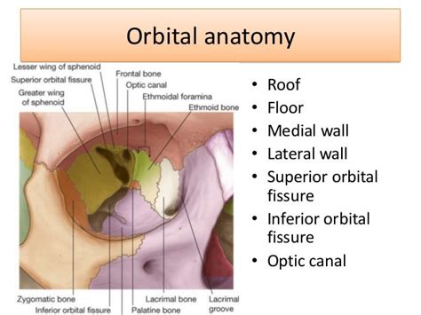 The Imaging of the Orbit