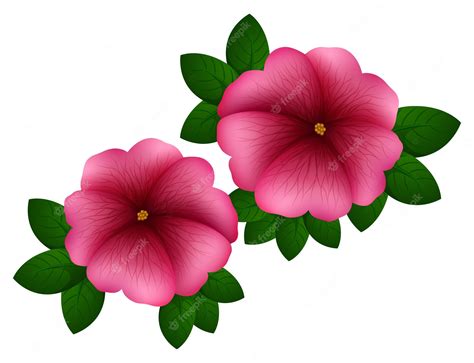 how to prune a petunia 4