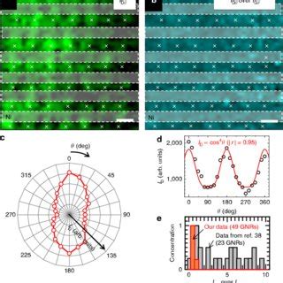 Polarized Raman Features Of Suspended GNR Array A E Integrated