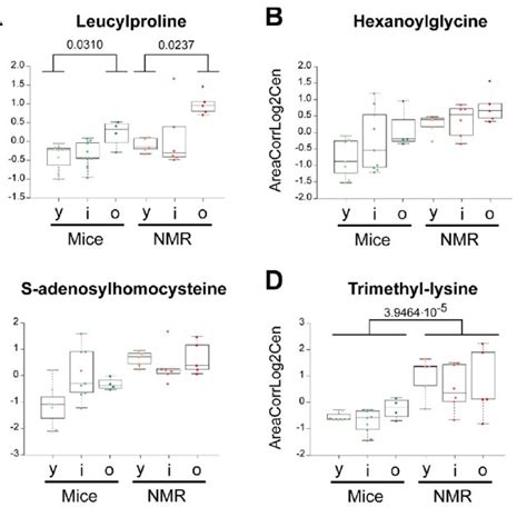 Amino Acid Derivatives That Are Reduced In Naked Mole Rats Statistical