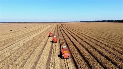 Aerial Top View Three Big Red Combine H Stock Video Pond5