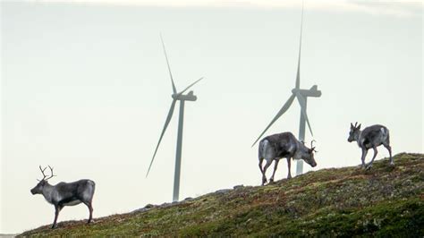 Regjeringen vil beholde både vindkraft og reindrift på Fosen Tu no