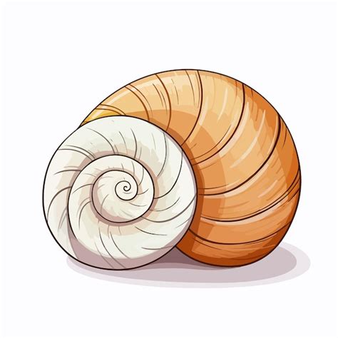 Premium Vector | Spiral in the shell flat vector illustration spiral in ...