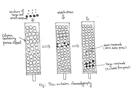 Size Exclusion Chromatography Definition Theory And Application Chemistry Notes