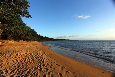 Masoala beach [madagascar_masoala_0369]