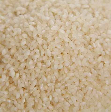 Arroz Bomba Round Grain Rice Smoked Ebro Delta Spain 500 G Bag