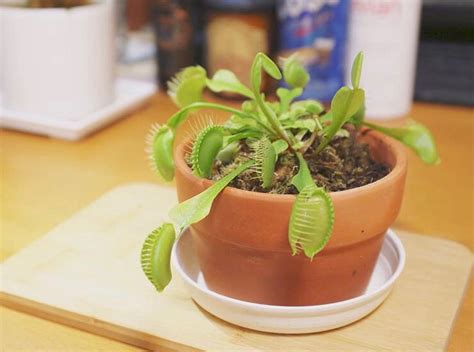 出租 家不應該只是用來睡覺打炮的地方 看板 gay 批踢踢實業坊