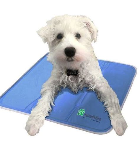 Cool Pet Dog Cooling Pad – Keep Doggie Safe