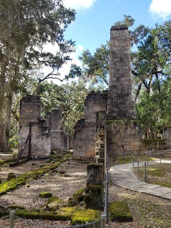 Bulow Plantation Ruins Historic State Park Flagler Beach Alles