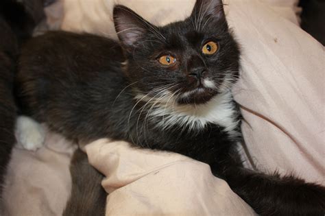 Красотка Ксюша | Пикабу