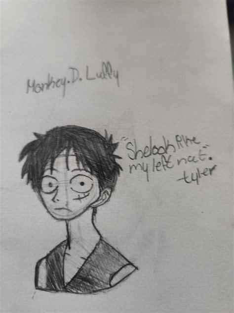 LUFFY MEME???? : r/OnePiece