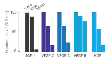 Microarray Profiles Of Pro Angiogenic Cytokines And Growth Factor