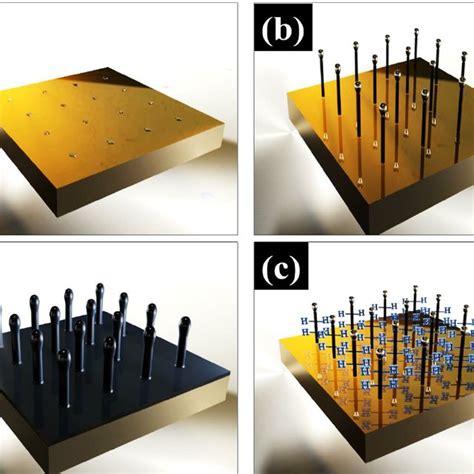 Figure S1 Schematic Illustration Of Mwcnt Si Heterostructure