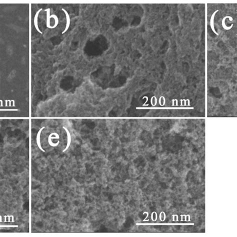 Field Emission Scanning Electron Microscopy Fe Sem Image Of Activated