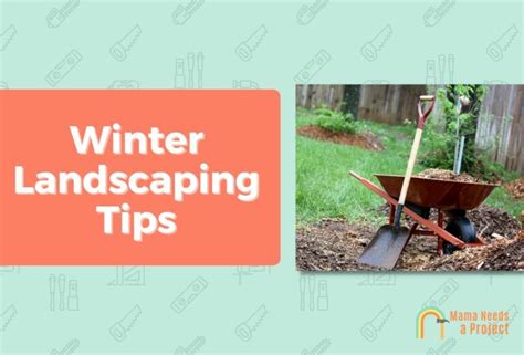 Winter Landscaping Tips Protect Your Garden From Winter Mama Needs