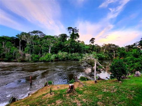 Estação Ecológica Da Serra Das Araras BRAINCP