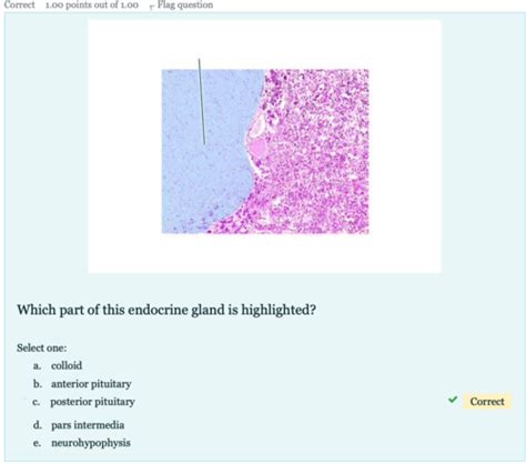 Lab 1 Quiz Flashcards Quizlet