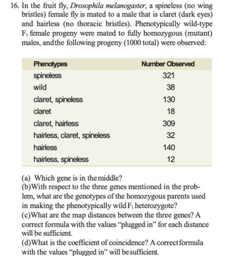 Solved 16 In The Fruit Fly Drosophila Melanogaster A